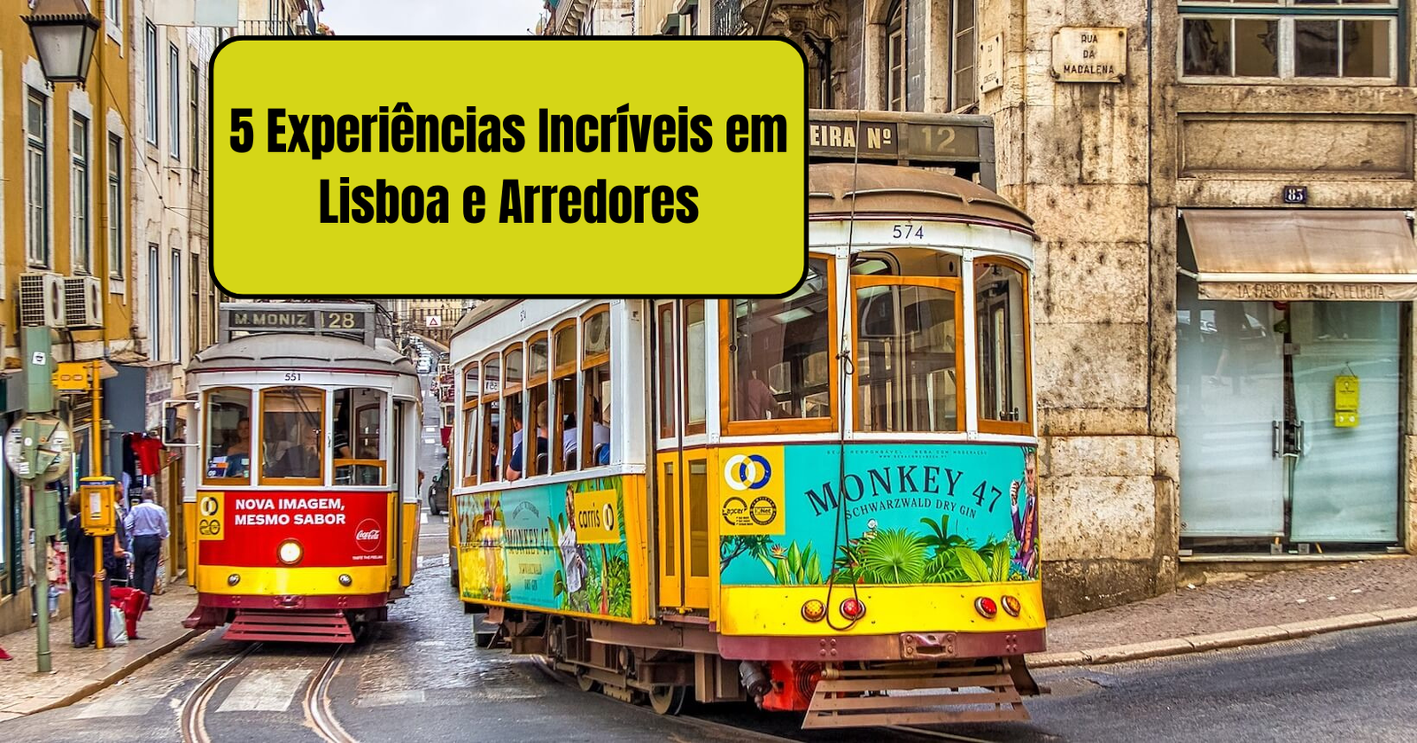 5 Experiências Incríveis em Lisboa e Arredores